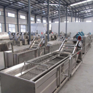 Fruit Vegetable Washing Equipment