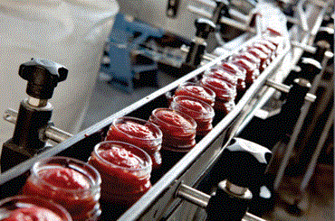 Sauce-Condiment-Factory